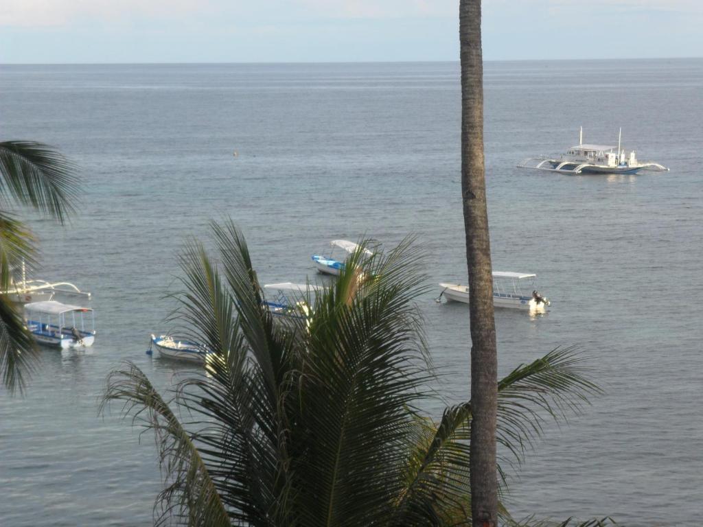 Hayahay Resort Panglao Exteriér fotografie